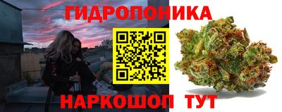 мяу мяу мука Нальчик