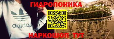 мяу мяу мука Нальчик