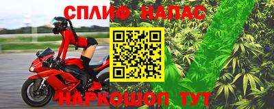 мяу мяу мука Нальчик